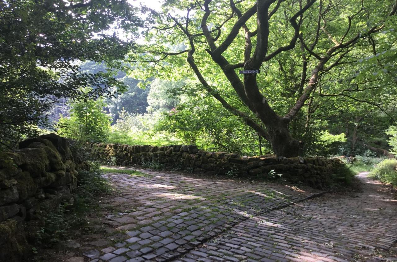 Tyas Cottage Slaithwaite Eksteriør bilde